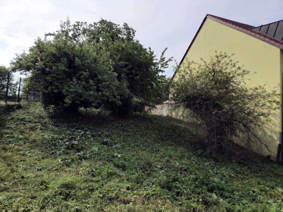 gewachsener Baumbestand Wohngrundst�ck Ubstadt-Weiher