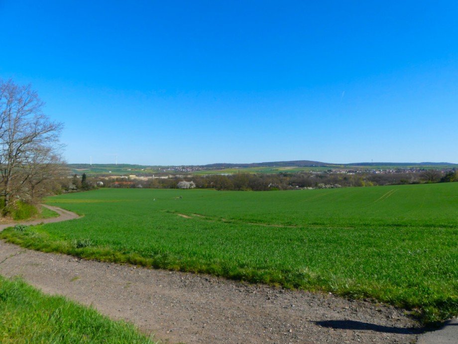 Aussicht Doppelhaush�lfte Eisenberg